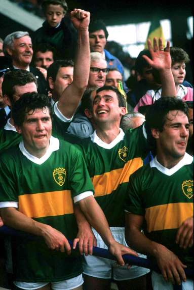 Celebrations after the 1986 All Ireland Final