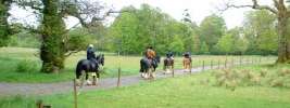 Photos from around Killarney