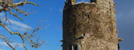 Photos from around Killarney